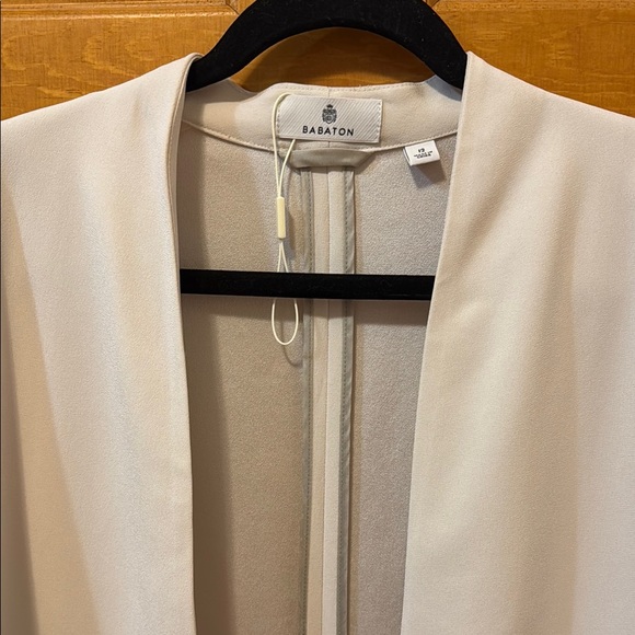 Aritzia Babaton Power waist blazer - Picture 12 of 13